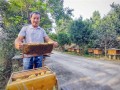 脱贫路养蜂技术，养蜂脱贫致富